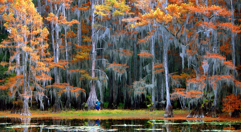 Caddo Lake, Texas